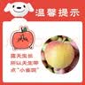 京鲜生山西高山嘎啦小苹果 净重4.5斤 单果150g+ 生鲜水果 源头直发 实拍图