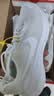 耐克NIKE跑步鞋女减震透气REVOLUTION 7运动鞋FB2208-100白38 实拍图