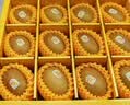 佳沛（zespri）新西兰金奇异果12粒特大果124-146g猕猴桃中秋节礼品送水果礼盒 实拍图