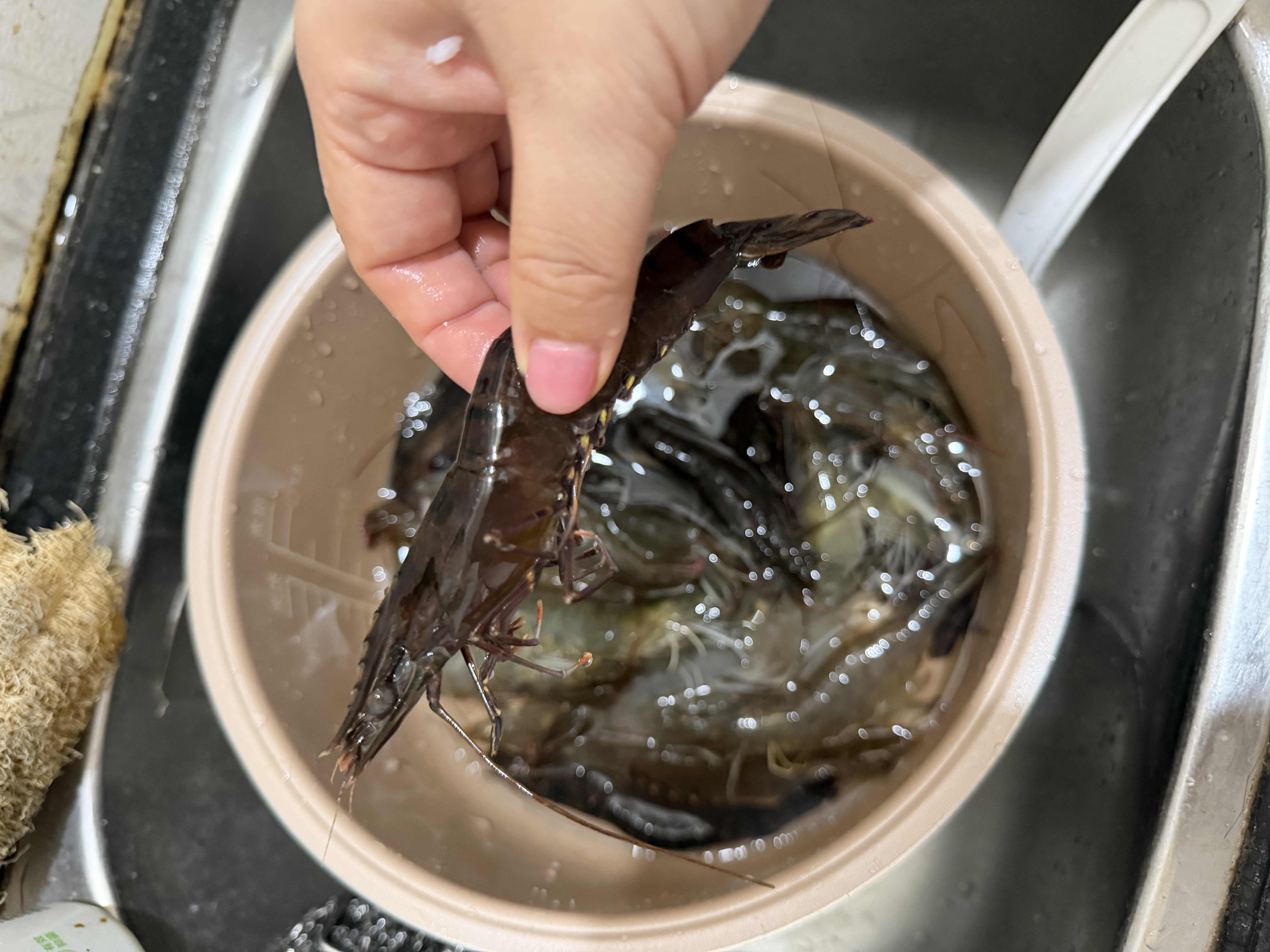 鲜活九节虾250g(10-15只) 实拍图