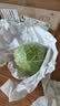 京鲜生山东新鲜绿甘蓝净重3斤 卷心菜 包菜 甘蓝新鲜蔬菜 源头直发 实拍图