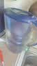 碧然德（BRITA） 家用滤水壶 净水壶滤芯 Maxtra 多效滤芯 3枚装 实拍图
