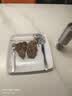 大希地原切牛排眼肉熟成整条厚切牛肉速冻1.7kg（净重3.4斤）【真原切】 实拍图