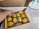 佳沛（zespri）新西兰金奇异果10粒巨大果146-175g猕猴桃中秋节礼品送水果礼盒 实拍图