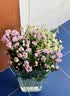 多头小雏菊60cm 5枝(颜色随机） 教师节礼物送老师 实拍图