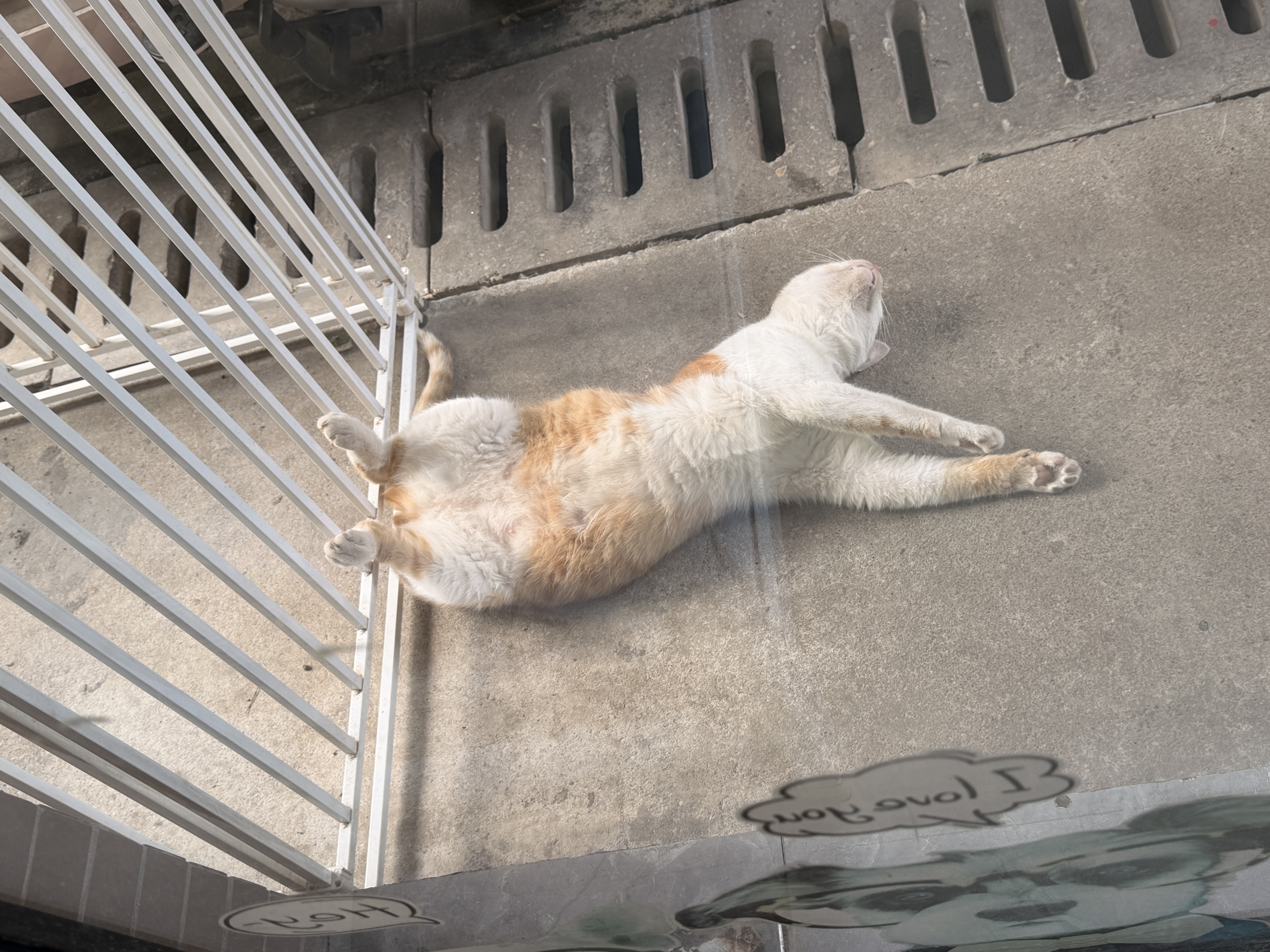 好主人猫条猫咪零食 喵舔酱火腿肠猫罐头白肉汤罐成猫幼猫通用营养开胃 喵舔酱10g*40条 实拍图