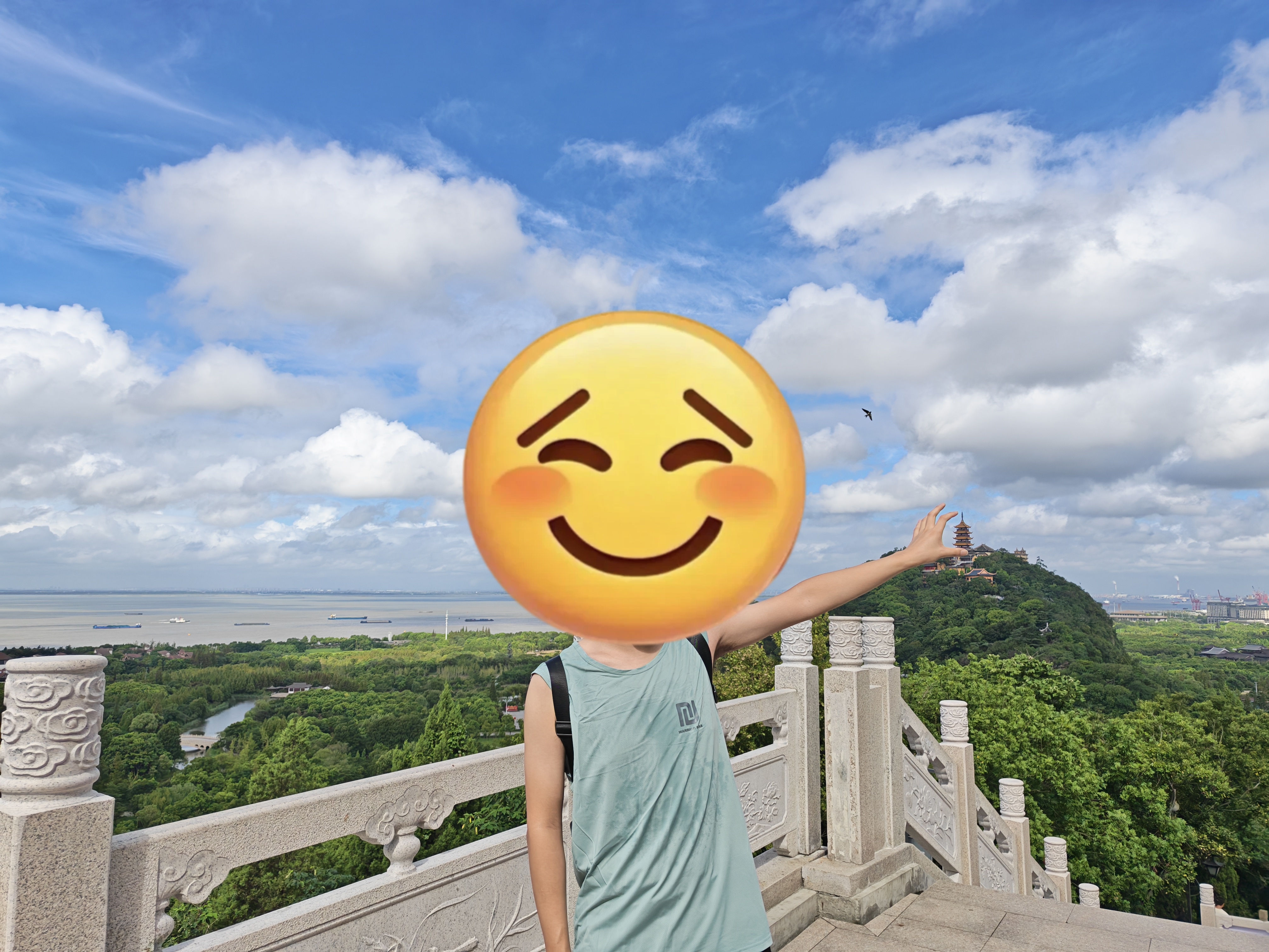 回力（Warrior）速干背心男夏美式复古印花无袖夏季冰丝透气宽松运动坎肩健身衣YD 实拍图