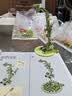 森宝积木音乐盒八音盒家居摆件女生儿童生日礼物 花颜茶语611050 实拍图