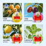京都念慈菴 四味组合糖 60g*4盒（枇杷+金桔+柠檬草薄荷+乌梅）教师节送礼 实拍图