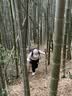 Naturehike挪客初雪EXT1登山杖碳纤维徒步手杖外锁伸缩碳素超轻户外爬山装备 实拍图