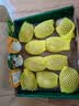 佳沛（zespri）新西兰金奇异果10粒巨大果146-175g猕猴桃中秋节礼品送水果礼盒 实拍图
