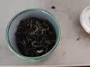 一杯香茶叶茉莉花茶特级横县10g新茶茉莉绿茶自己喝散装试饮装试喝装 实拍图
