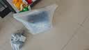 babycare皇室狮子王国弱酸纸尿裤小号S58片(4-8kg)婴儿尿不湿亲肤透气 实拍图