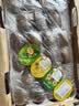 佳沛（zespri）新西兰金奇异果22粒巨大原箱146-175g猕猴桃中秋节礼品送水果礼盒 实拍图