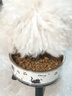 麦富迪狗粮 藻趣儿狗粮成犬粮牛肉螺旋藻 均衡营养15kg/30斤 实拍图