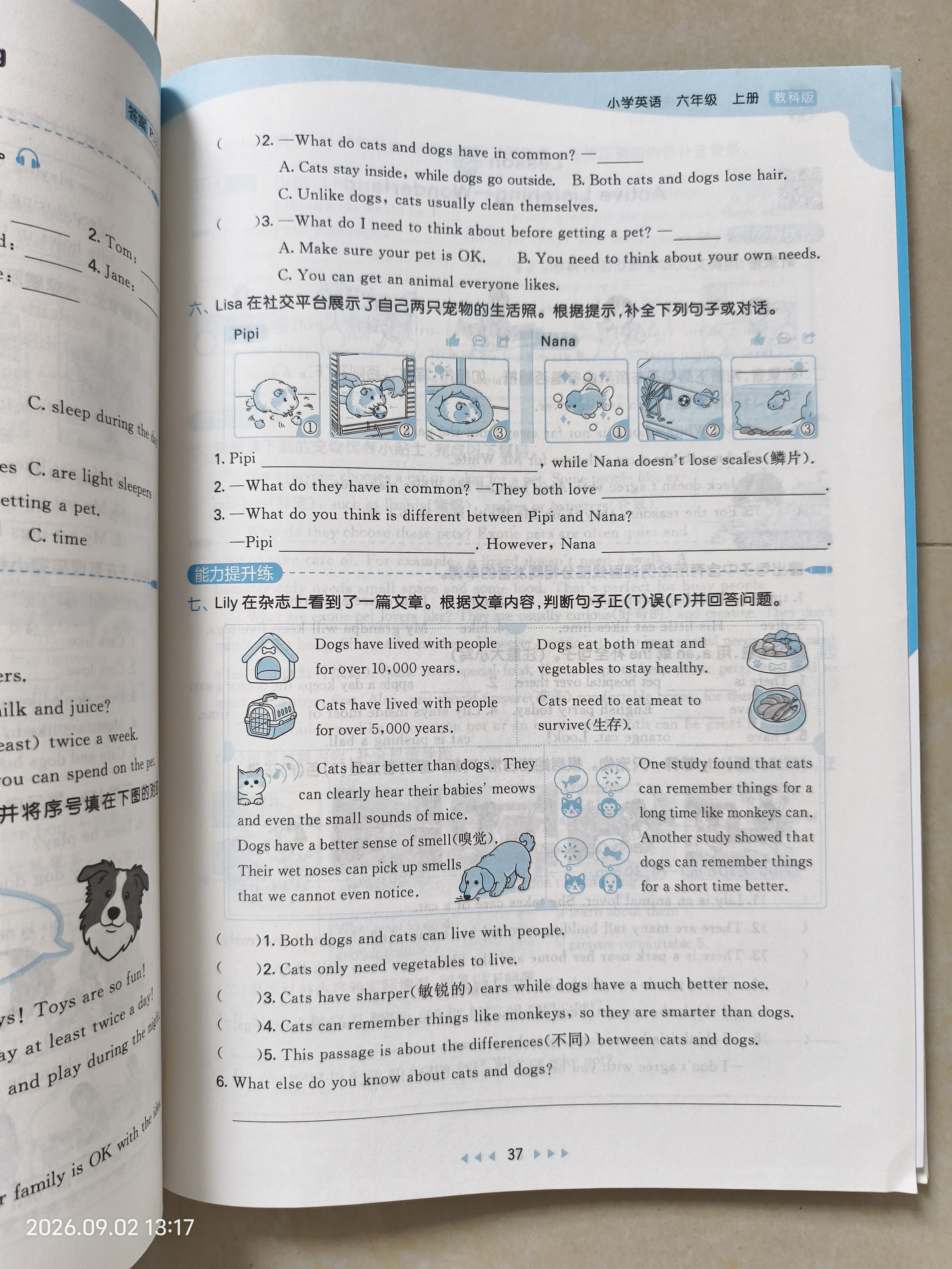 2026秋季53天天练广州专用小学英语六年级上册教科版（三年级起点）五三天天练5 3天天练5 开学季 实拍图