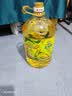 金龙鱼 食用油 非转基因 物理压榨玉米油6.18L（蕴含植物甾醇） 实拍图