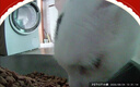 小佩AI宠物智能自动双子星喂食器可视版2代 多猫识别(支持鸿蒙智联) 实拍图