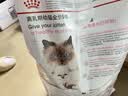 皇家猫粮 幼猫奶糕 幼猫猫粮 BK34 通用粮 1-4月 10KG 实拍图