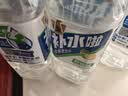 东鹏特饮东鹏补水啦电解质饮料555ml/瓶整箱快速补水西柚柠檬味电解质饮料 2-3口味混合555ml*12瓶 实拍图