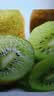 佳沛（zespri）新西兰金奇异果30-33粒原箱103-124g猕猴桃中秋节礼品送水果礼盒 实拍图