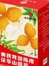 南同四海京仁堂陈皮茯苓炒薏米山楂祛湿茶包健脾胃养调理去体内气重男女湿 实拍图