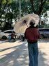 爱上雨24骨雨伞长柄男女士家用大号自动加固结实抗风暴雨专用定制直杆伞 全纤维中棒-加大-24骨梧桐米 实拍图