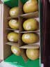 佳沛（zespri）新西兰金奇异果8粒特大果124-146g猕猴桃中秋节礼品送水果礼盒 实拍图