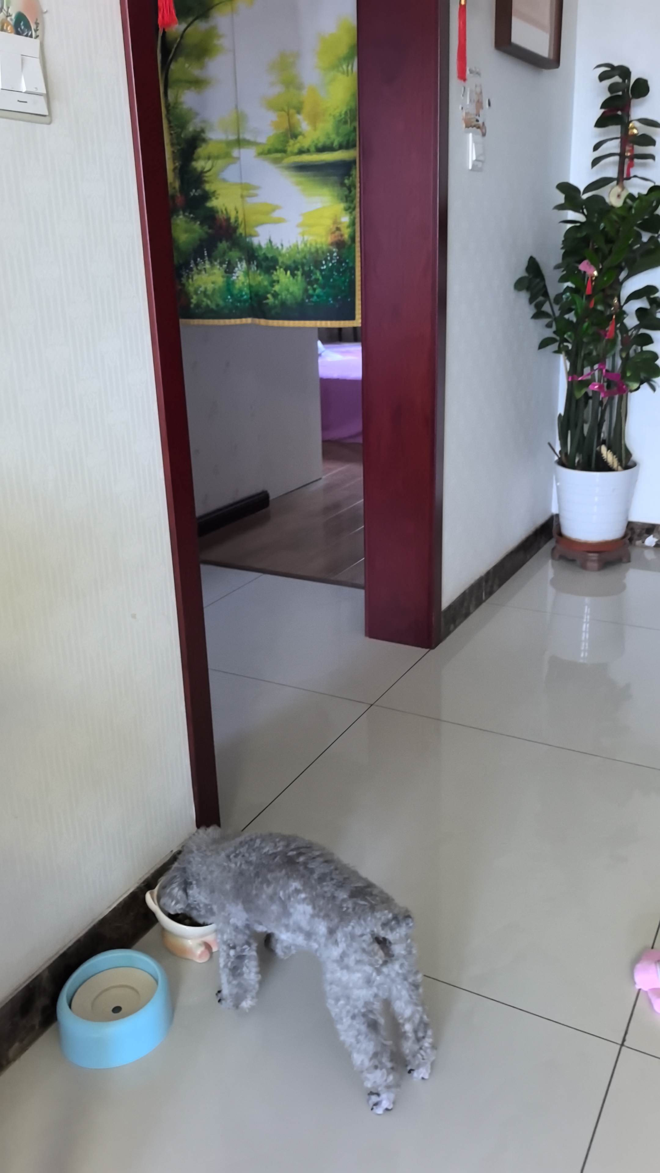 麦富迪狗狗零食 奢华营养鸡肉细丝400g成幼犬磨牙训练奖励解馋宠物零食 实拍图