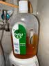 滴露（Dettol）消毒液洗衣衣物消毒水750mL 除螨杀菌混洗无忧 家居地板消毒 非84 实拍图