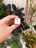 图拉斯小冰块Lite【热销500万+】适用苹果充电头iPhone17promax16充电器13快充套装14PD氮化镓18充电线 【8-14套装】白色头+苹果PD快充线 20w系列【更适配iphone6 实拍图
