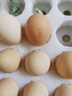 京鲜生 无抗保洁鲜鸡蛋30枚/盒 健康轻食 礼盒送礼 1.5kg/盒 源头直发 实拍图