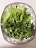 【水果菜】冰草 250g 实拍图