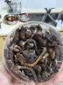 森百味东北特产礼盒南北干货蘑菇菌菇汤包野生榛蘑松蘑香菇羊肚菌鹿茸菇 野生松蘑250g*1袋 实拍图