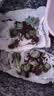多肉植物带盆绿植花卉盆栽贵货老桩群生玉树玉露仙人掌肉 10颗多肉植物盲盒【品种不重复】 实拍图