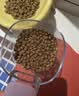 自然光环Halo猫粮成猫粮【新品】 健美体态 鸡肉味试吃装50g 实拍图