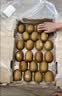 佳沛（zespri）新西兰金奇异果22粒巨大原箱146-175g猕猴桃中秋节礼品送水果礼盒 实拍图