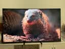 索尼（SONY）【官方直供】高端款5系K-75XR50 75英寸索尼电视新品MiniLED 4K120Hz高刷XR芯片一级能效X90L升级 75英寸 K-75XR50【一级能效】 实拍图