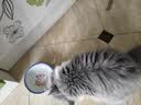 憨憨宠猫零食冻干桶猫咪零食成猫冻干鸡胸肉鱼鸭肉猫粮宠物猫狗冻干零食 12种冻干 精装组合桶600g 实拍图