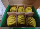 佳沛（zespri）新西兰阳光金奇异果6粒装88-103g猕猴桃水果中秋节礼品送水果礼盒 实拍图