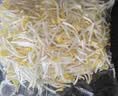绿豆芽300g 实拍图
