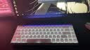 MelGeek【开学季】MADE68PRO+磁轴键盘 小蜜蜂电竞游戏客制化机械键盘TTC万磁王轴礼物送男女友蜜氪 MADE68Pro+紫光【万磁王PRO轴】 实拍图
