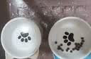 憨憨乐园猫碗陶瓷猫粮双碗斜口狗碗狗盆狗粮宠物幼猫咪吃饭食盆喝水喂食 实拍图