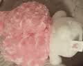 名创优品（MINISO）Hello Kitty凯蒂猫小猫玩偶公仔玩具摆件抱枕生日礼物女正版授权 实拍图