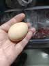 京鲜生 无抗保洁鲜鸡蛋30枚/盒 健康轻食 礼盒送礼 1.5kg/盒 源头直发 实拍图