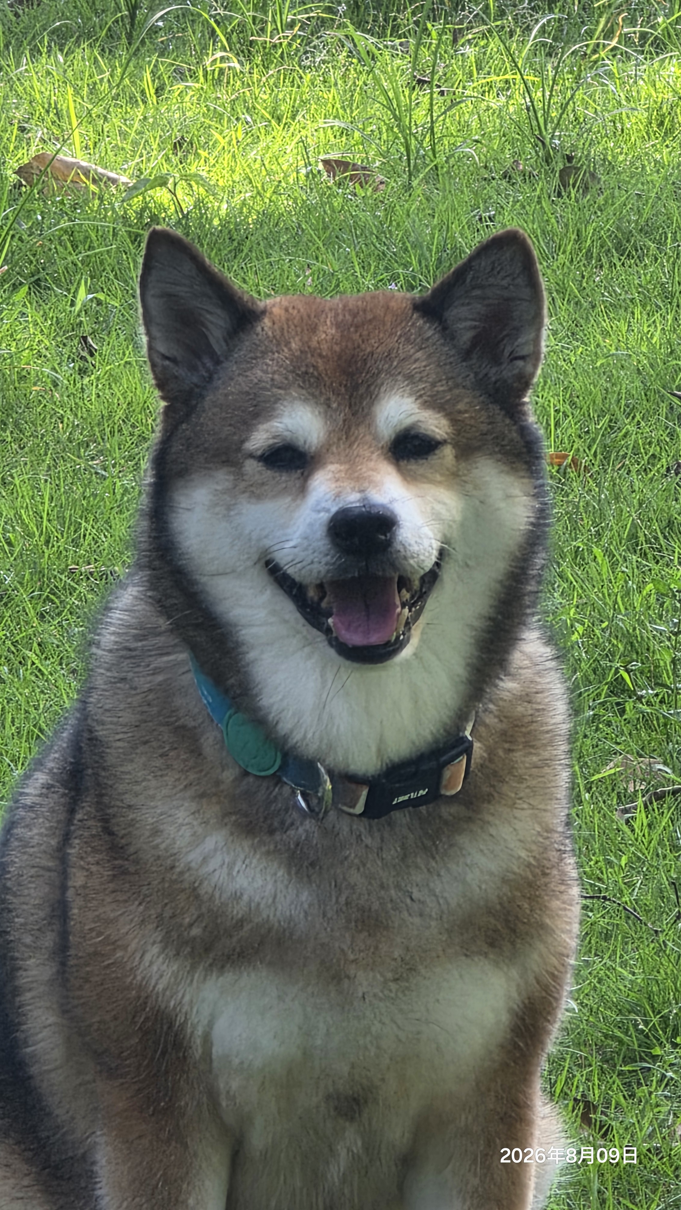 皇家（ROYAL CANIN）LF22促进肠道消化高能量成犬低脂肠胃全价处方狗粮1.5KGx*2 实拍图