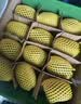 佳沛（zespri）新西兰 阳光金奇异果12粒特大果单果124-146g 猕猴桃水果礼盒 实拍图