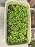 爱丽思（IRIS）种菜盆蔬菜种植箱塑料特大号阳台种菜专用箱神器户外花箱种花菜盆 【2个】(70cm长)绿色 送隔网 实拍图