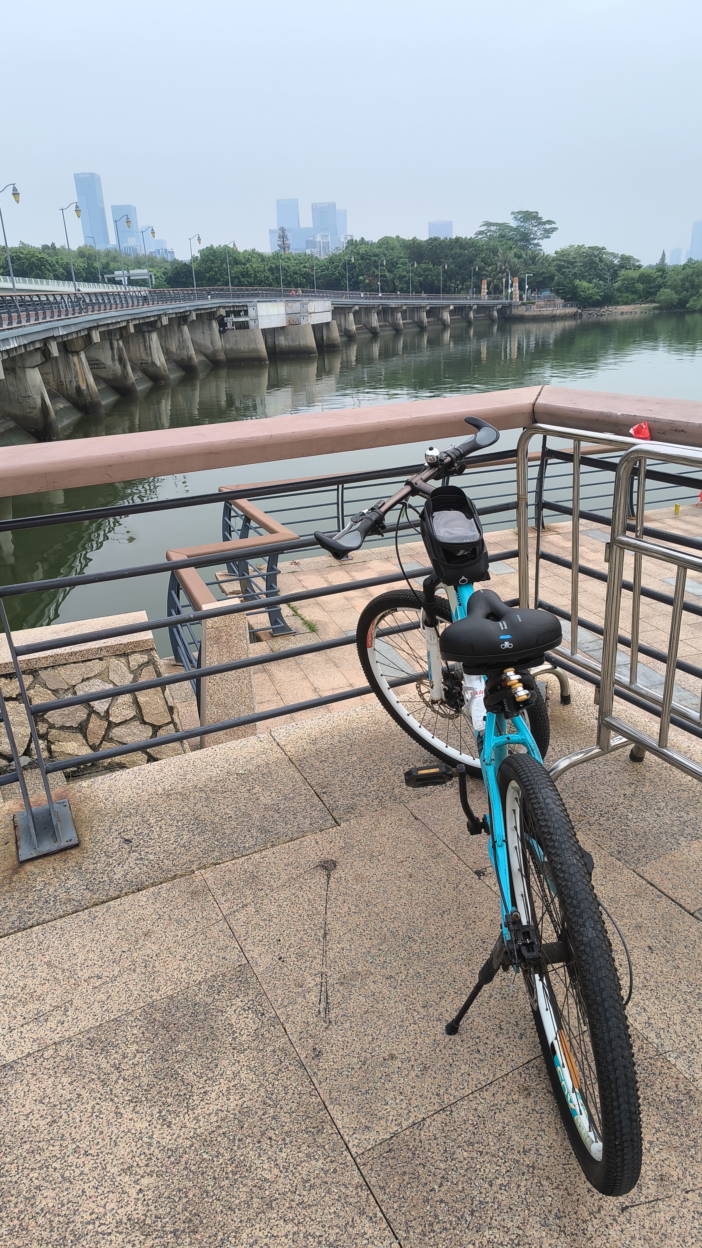 迅霆自行车脚踩打气筒高压家用小型篮足球电动电瓶车公路摩托车充气泵 实拍图