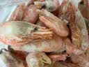 禧美海产加拿大北极甜虾净重3斤/盒 90/120规格 熟冻  MSC认证 中秋聚餐 实拍图
